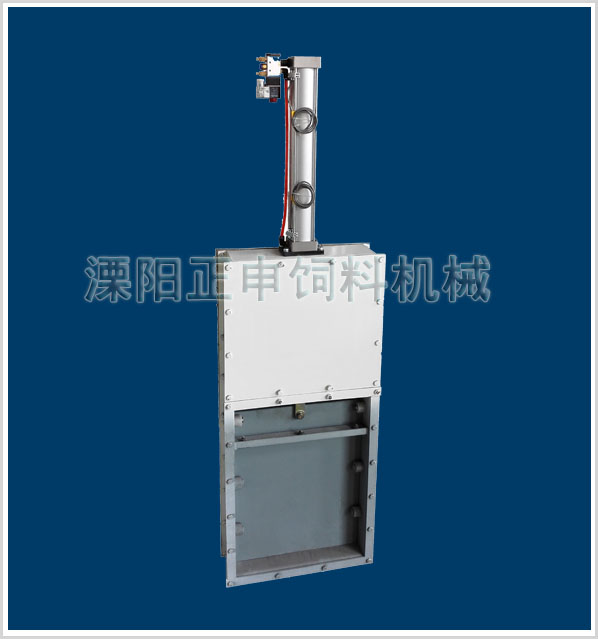 Pneumatic gate